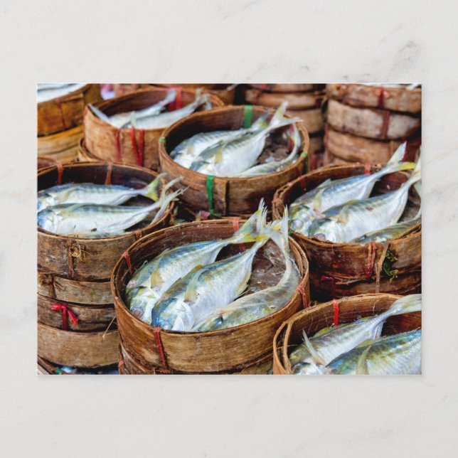 Fresh Mackerel Postcard (Front)