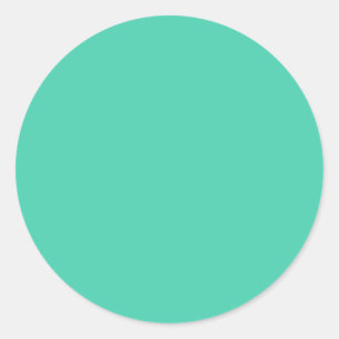 FRESH MINT FLAVOR customisable to other SHAPES Classic Round Sticker