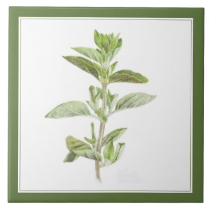 FRESH OREGANO 6x6 Ceramic Tile (-text) Green