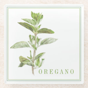 Fresh Oregano Glass Beverage Coaster