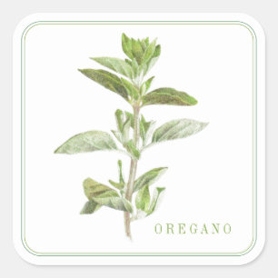 FRESH OREGANO Large Square Stickers