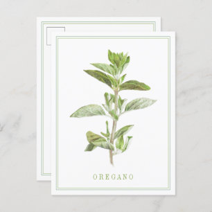 FRESH OREGANO Postcard