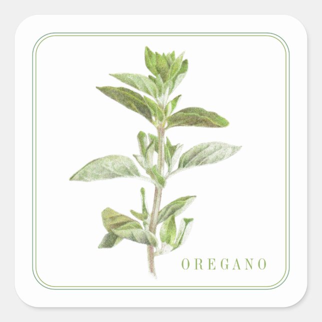 FRESH OREGANO Small Square Stickers (Front)