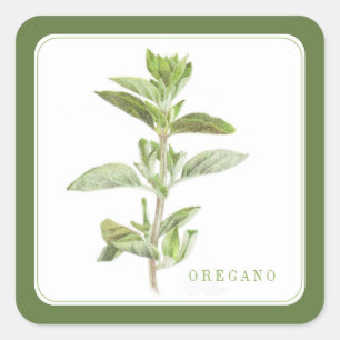 FRESH OREGANO Small Square Stickers - Green