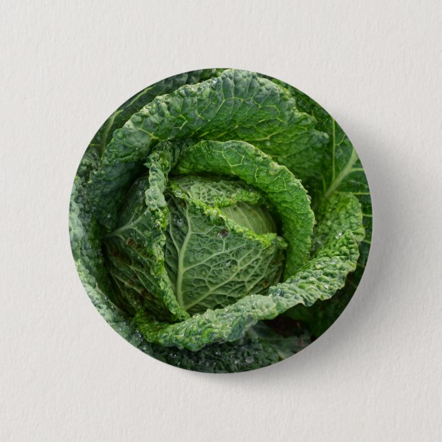 Fresh Organic Cabbage Head 6 Cm Round Badge (Front)