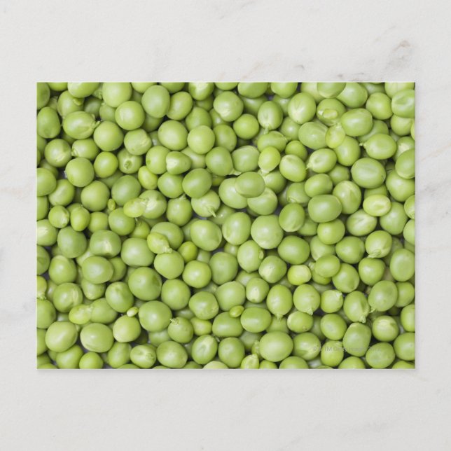 Fresh organic peas 2 postcard (Front)