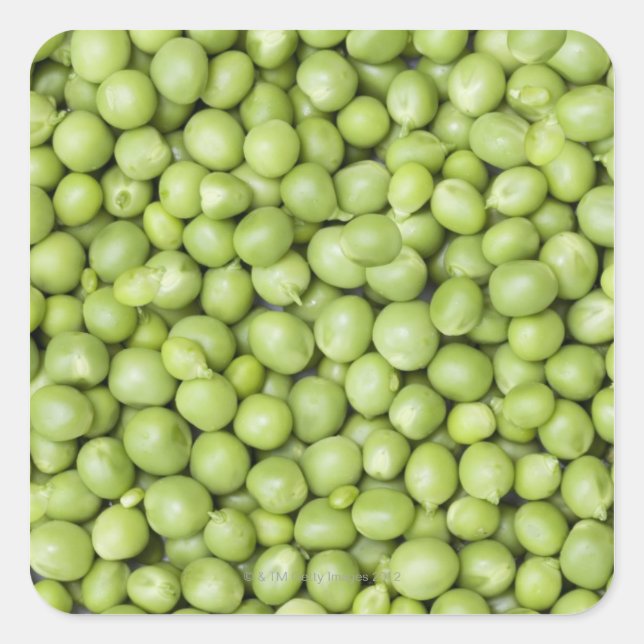 Fresh organic peas 2 square sticker (Front)