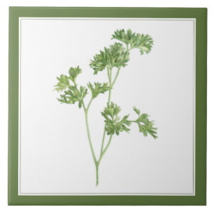 FRESH PARSLEY 6x6 Ceramic Tile (-text) Green