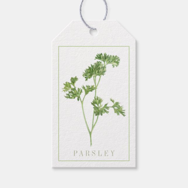 FRESH PARSLEY Gift Tags (Front)
