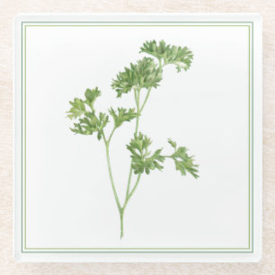 FRESH PARSLEY Glass Beverage Coaster (-text)