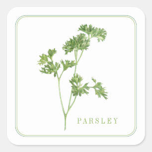 FRESH PARSLEY Small Square Stickers