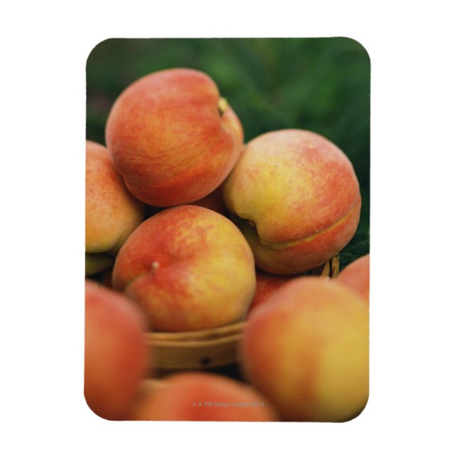 Fresh peaches magnet (Vertical)