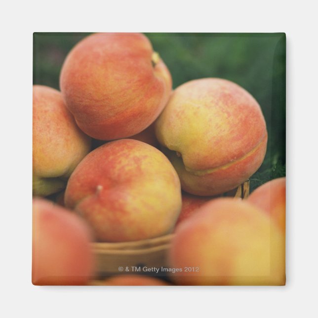 Fresh peaches magnet (Front)