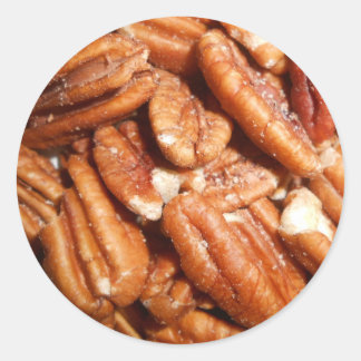 Fresh Pecans Classic Round Sticker