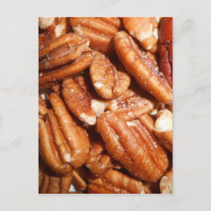 Fresh Pecans Postcard