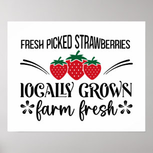 Fresh picked locally grown strawberries poster