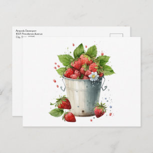 Fresh Picked Strawberries in a Bucket Postcard