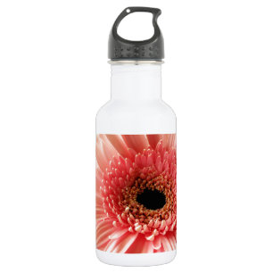Fresh Pink Gerbera Daisy Photograph 532 Ml Water Bottle