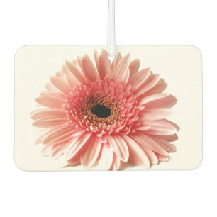 Fresh Pink Gerbera Daisy Photograph Car Air Freshener