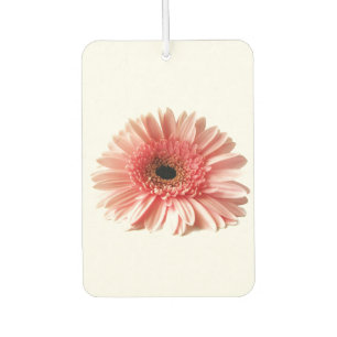 Fresh Pink Gerbera Daisy Photograph Car Air Freshener