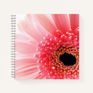 Fresh Pink Gerbera Daisy Photograph Notebook
