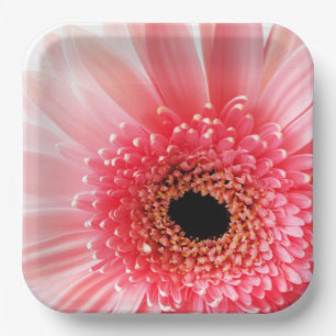 Fresh Pink Gerbera Daisy Photograph Paper Plate