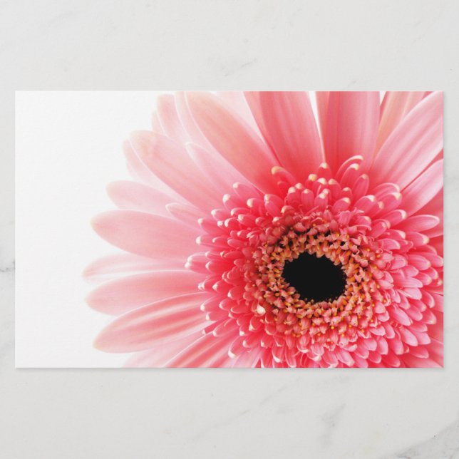 Fresh Pink Gerbera Daisy Photograph Stationery (Front)