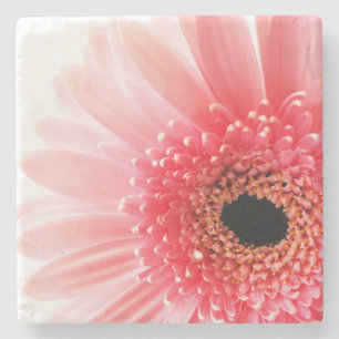 Fresh Pink Gerbera Daisy Photograph Stone Coaster