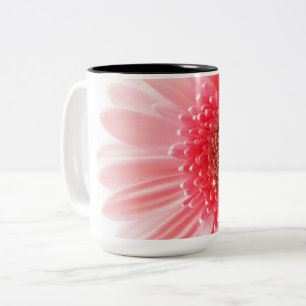 Fresh Pink Gerbera Daisy Photograph Two-Tone Coffee Mug
