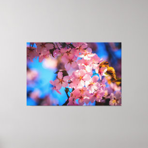 Fresh Pink Sakura Garland, Blue Sky Canvas Print