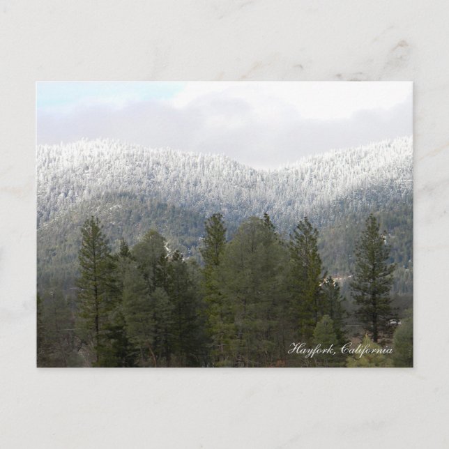 Fresh Powdered Snow.... Postcard (Front)