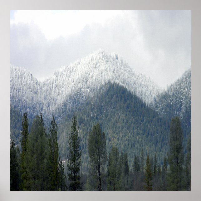 Fresh powdered snow..... poster (Front)