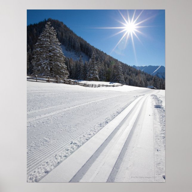 fresh prepared cross-country ski run in a 2 poster (Front)