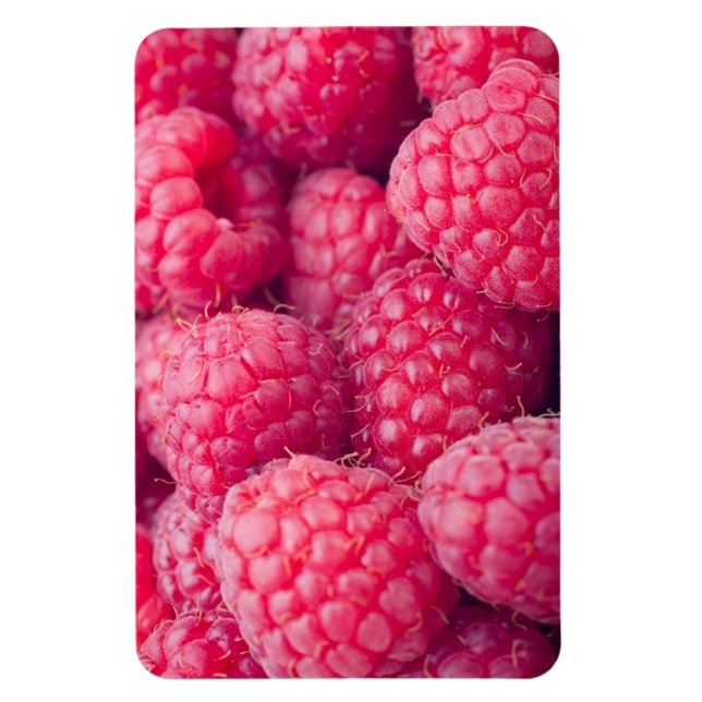 Fresh raspberries magnet (Vertical)