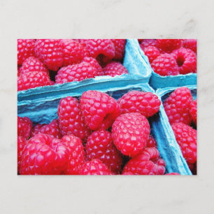 Fresh Raspberries Postcard