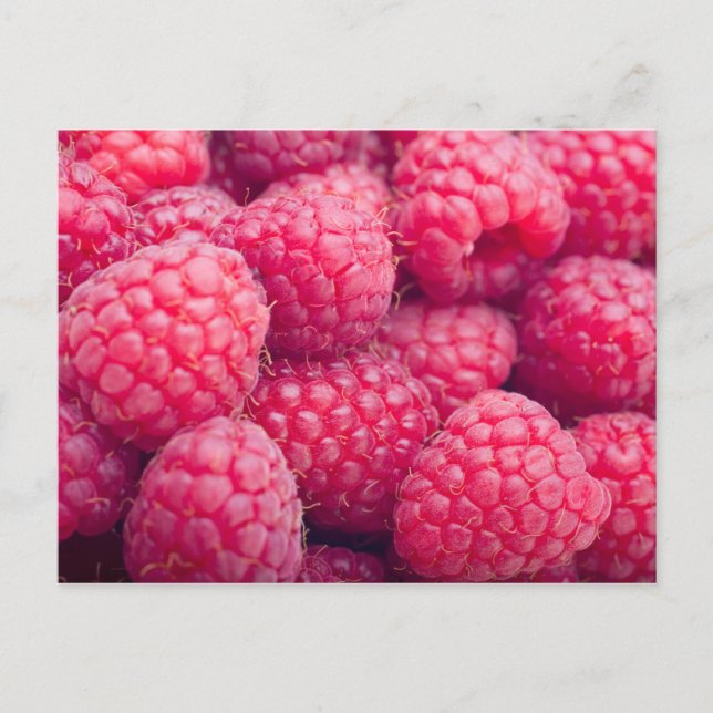 Fresh raspberries postcard (Front)
