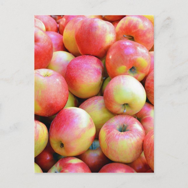 Fresh red and yellow apples postcard (Front)