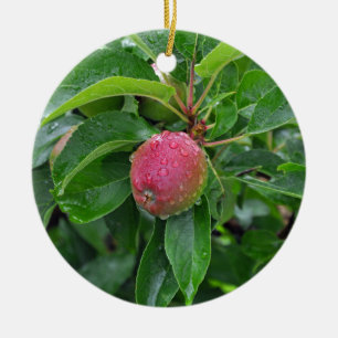 Fresh red apple on tree ceramic tree decoration