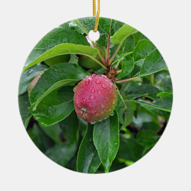 Fresh red apple on tree ceramic tree decoration (Front)