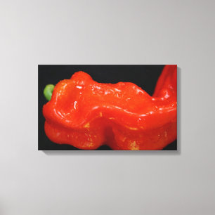 Fresh Red Bell Pepper Canvas Print