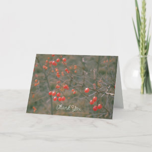 Fresh Red Berries Winter Nature Photography  Thank You Card