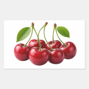 Fresh Red Cherries With Green Leaves Sticker
