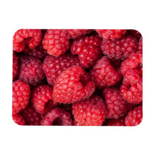 Fresh red raspberries magnet