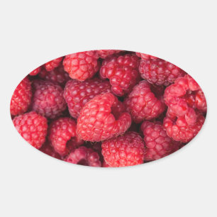 Fresh red raspberries oval sticker