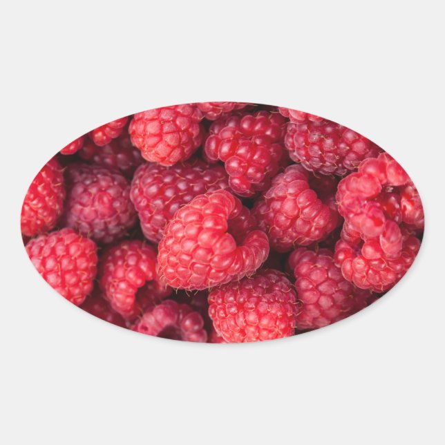 Fresh red raspberries oval sticker (Front)