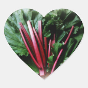 Fresh Rhubarb Stalks and Leaves Heart Sticker