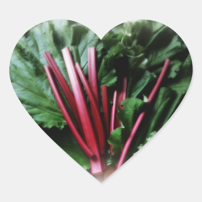 Fresh Rhubarb Stalks and Leaves Heart Sticker (Front)