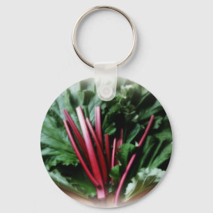 Fresh Rhubarb Stalks and Leaves Key Ring