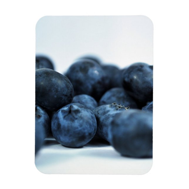 Fresh Ripe Blueberries Magnet (Vertical)
