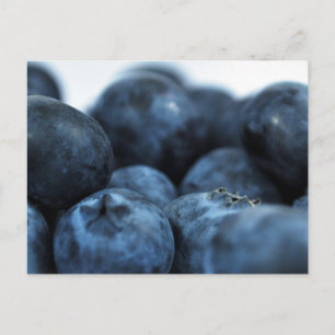 Fresh Ripe Blueberries Postcard